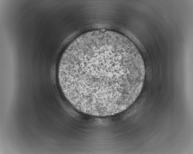 X0000111150442200908111137