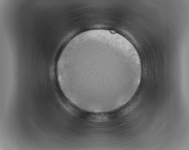 X0000111150443200908111137