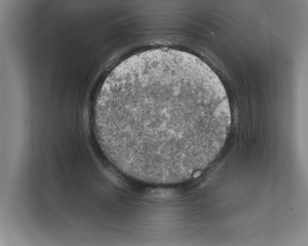 X0000111150444200908111137