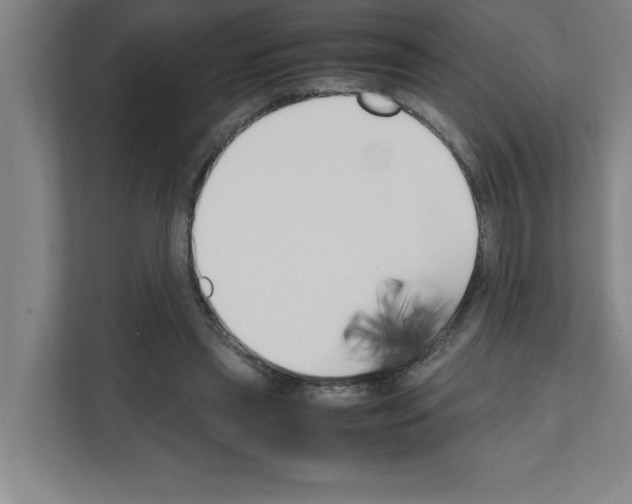 X0000111150445200908111137