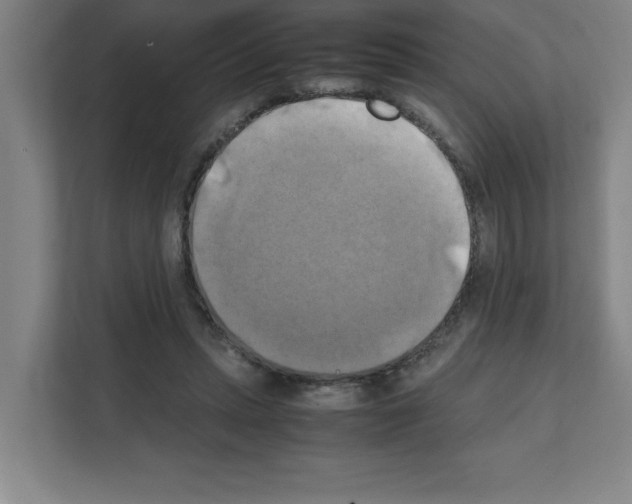 X0000111150447200908111137