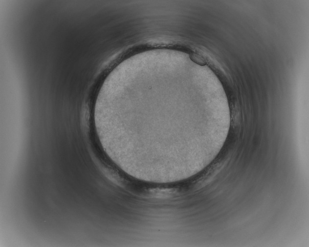 X0000111150448200908111137