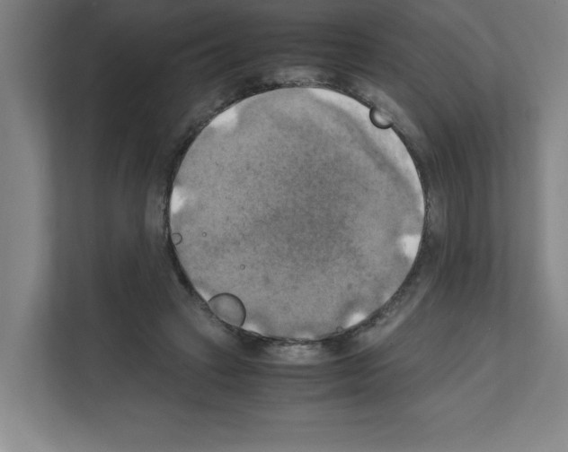 X0000111150449200908111137