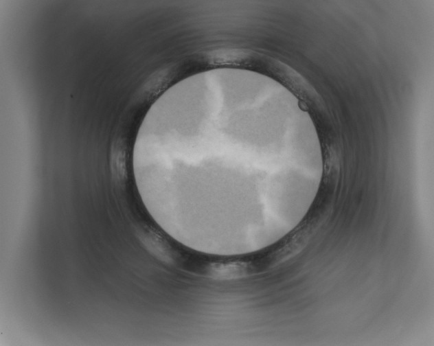 X0000111150452200908111137