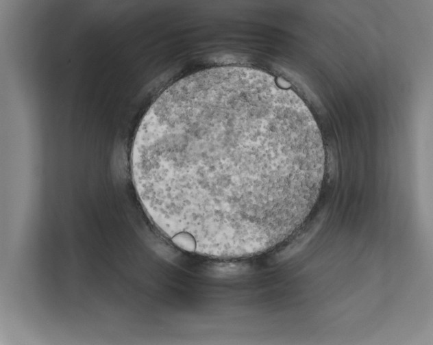 X0000111150453200908111137