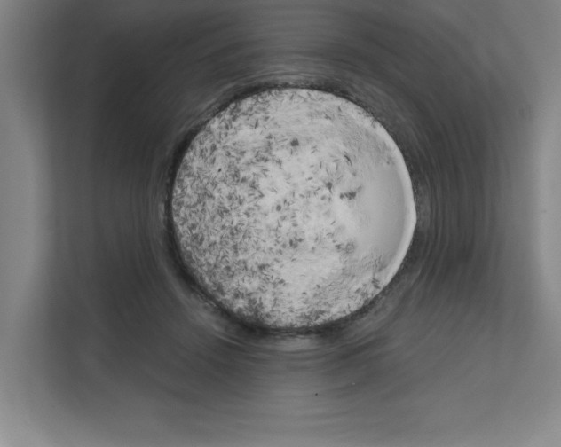 X0000111150456200908111137