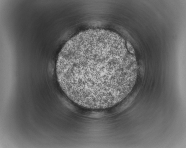 X0000111150458200908111137