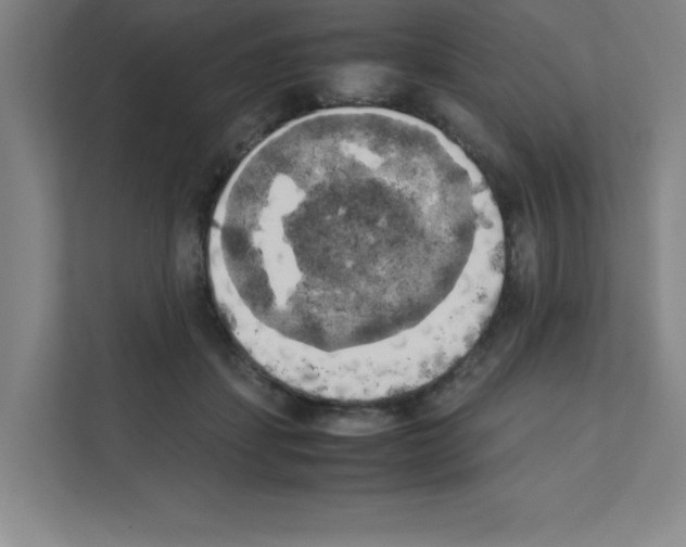 X0000111150459200908111137