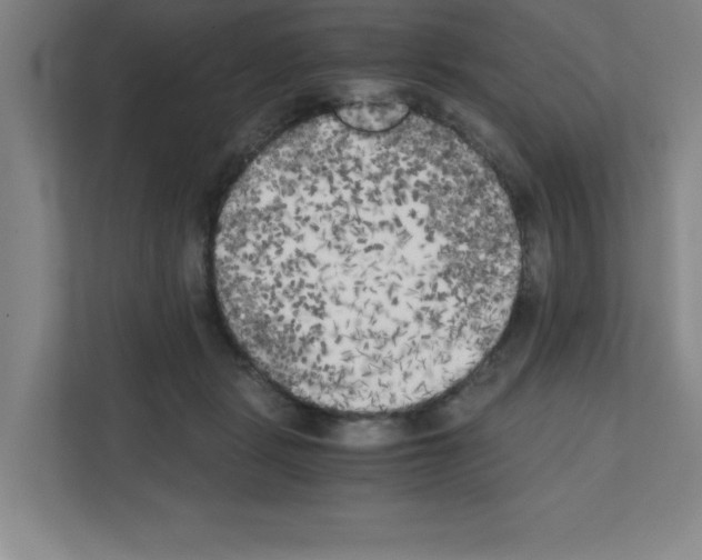 X0000111150461200908111137