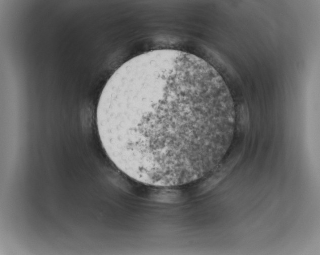 X0000111150463200908111137