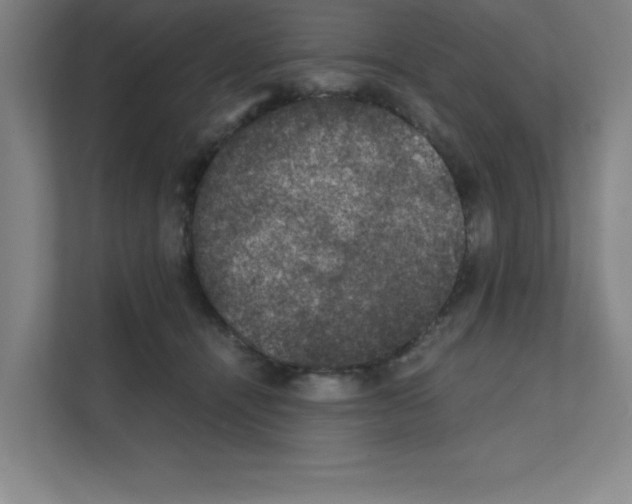 X0000111150464200908111137