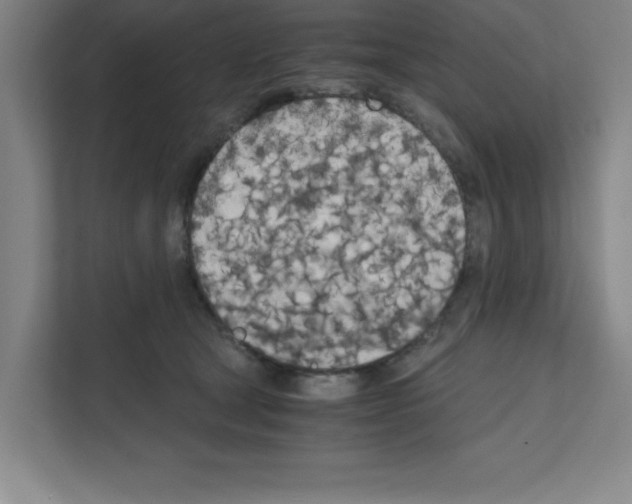 X0000111150465200908111137