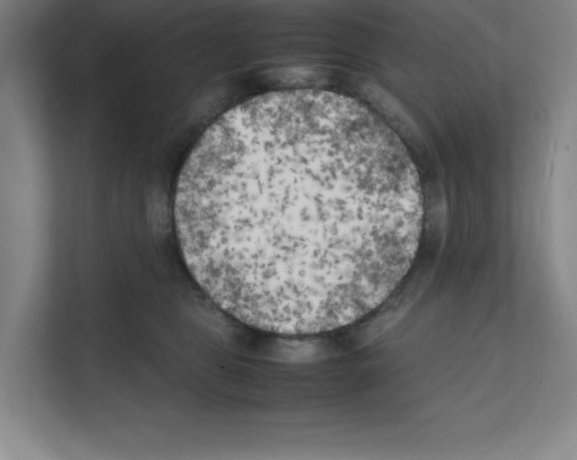 X0000111150469200908111137