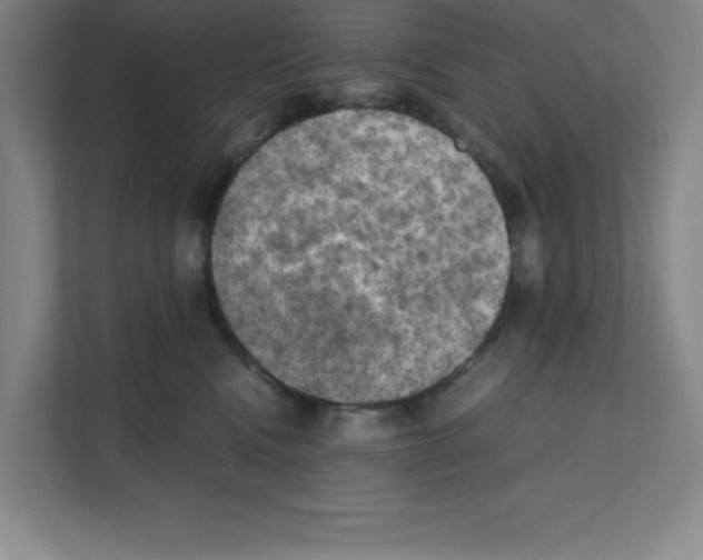 X0000111150472200908111137