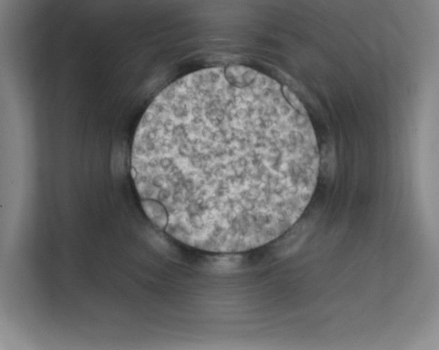 X0000111150474200908111137