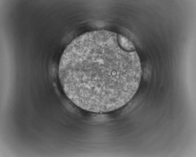 X0000111150476200908111137