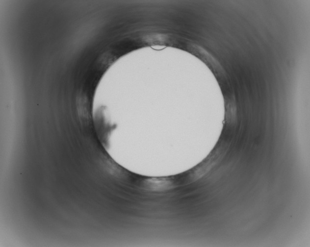 X0000111150477200908111137