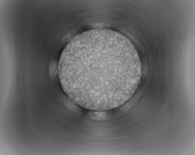 X0000111150478200908111137