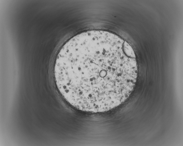 X0000111150481200908111137