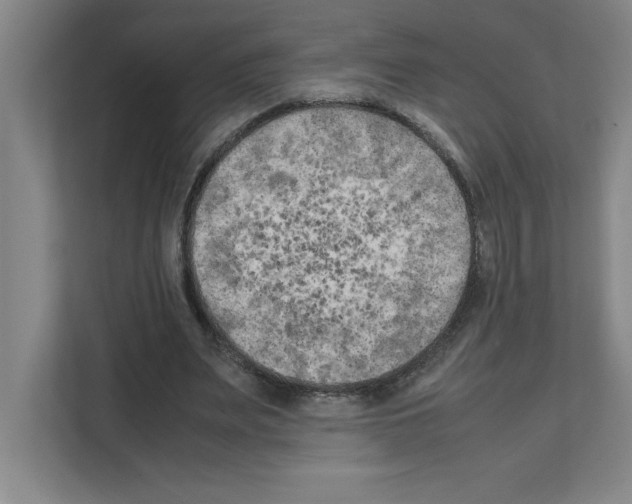 X0000111150487200908111137