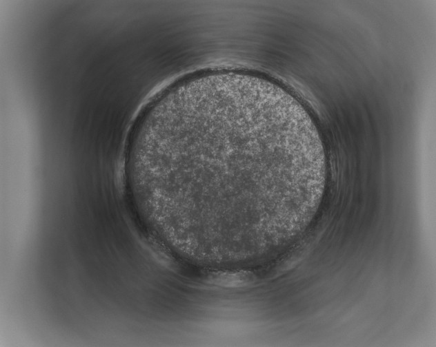 X0000111150488200908111137