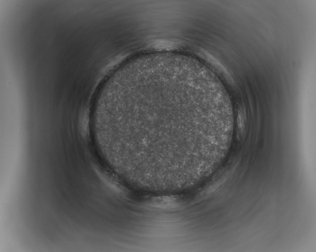 X0000111150492200908111137