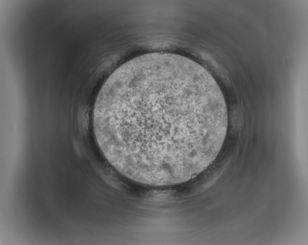 X0000111150495200908111137