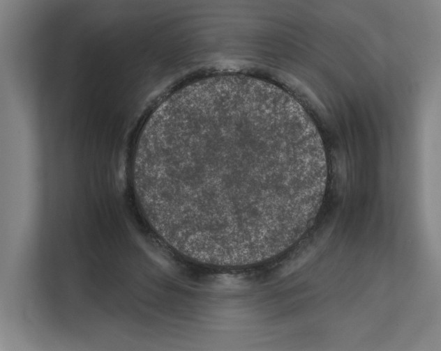 X0000111150496200908111137