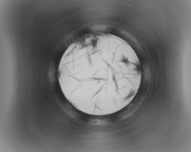 X0000111150498200908111137