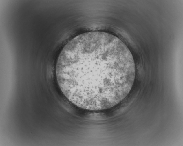 X0000111150499200908111137