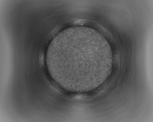 X0000111150504200908111136