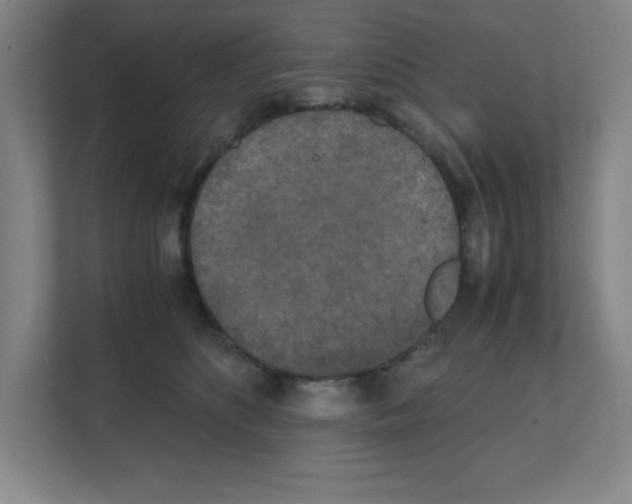 X0000111150516200908111136