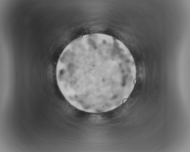 X0000111150519200908111136