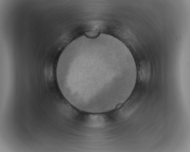 X0000111150520200908111136