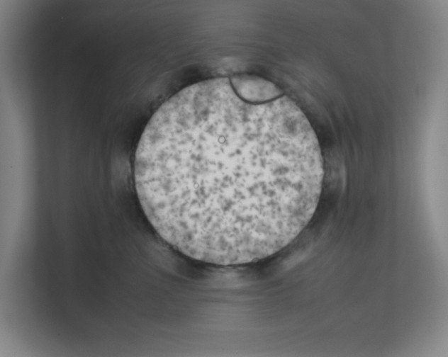 X0000111150523200908111136