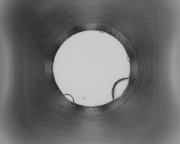 X0000111150525200908111136