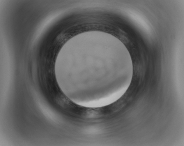 X0000111150526200908111136