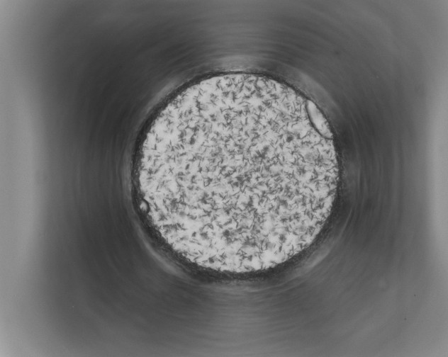 X0000111150530200908111136