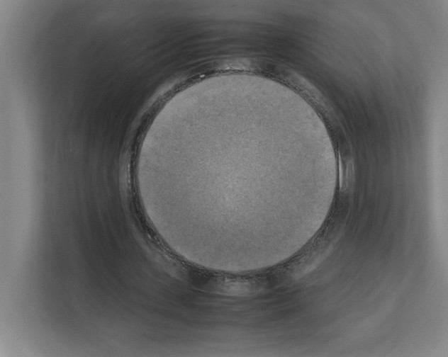 X0000111150531200908111136