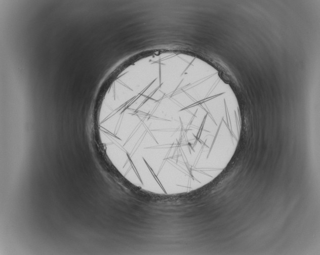 X0000111150532200908111136