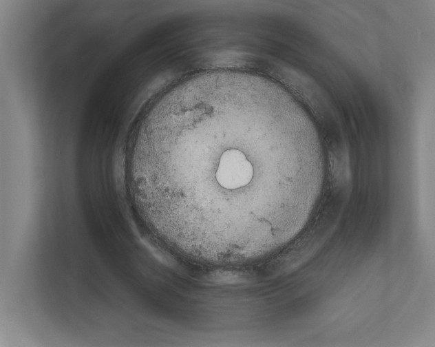 X0000111150534200908111136