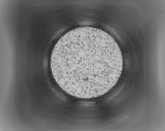 X0000111150539200908111136