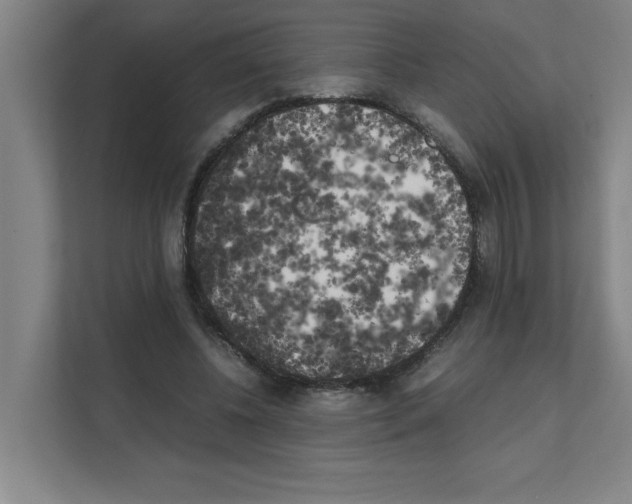 X0000111150540200908111136