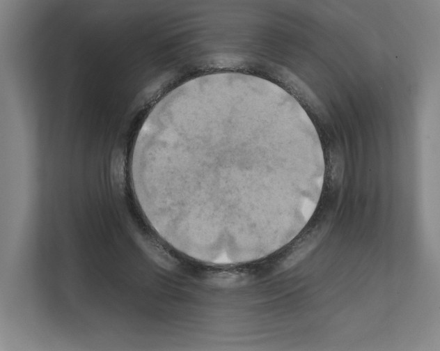 X0000111150542200908111136