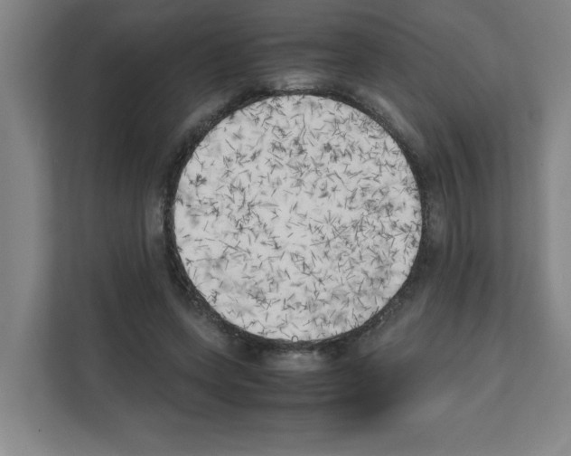 X0000111150543200908111136