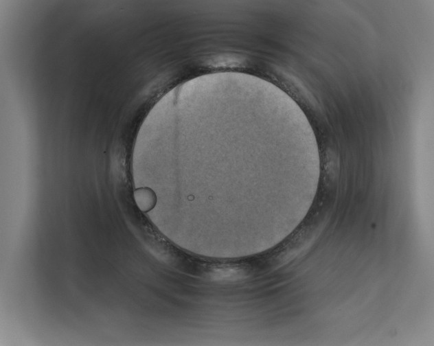 X0000111150547200908111136