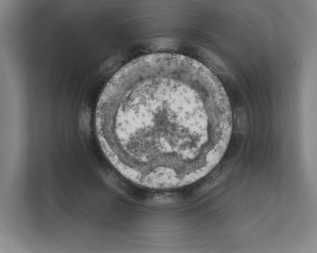 X0000111150550200908111136