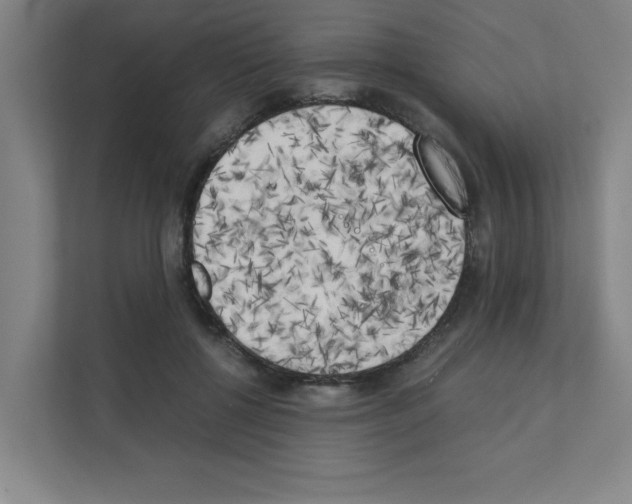 X0000111150552200908111136