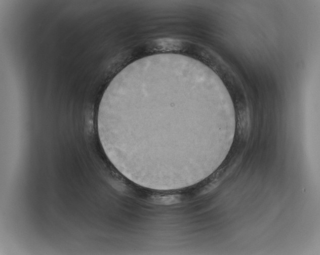 X0000111150553200908111136