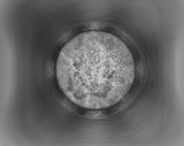 X0000111150554200908111136